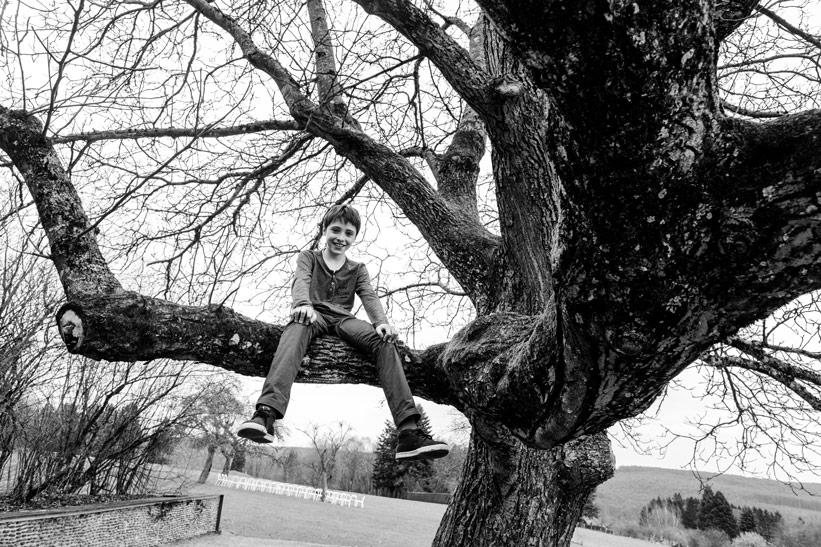 a boy sitting on a tree branch